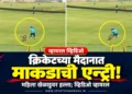 क्रिकेट सामना सुरू असताना मैदानात माकडाची एन्ट्री; महिला खेळाडूवर हल्ला, व्हिडिओ सोशल मीडियावर व्हायरल
