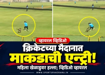 क्रिकेट सामना सुरू असताना मैदानात माकडाची एन्ट्री; महिला खेळाडूवर हल्ला, व्हिडिओ सोशल मीडियावर व्हायरल